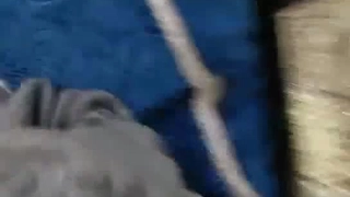 继母抓到继子监视她，并帮助他快速射精