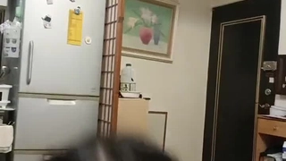 啾啾_啪啪_十二月二号
