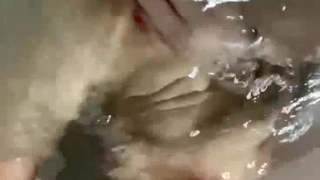 纳粹实验室II欧洲！大屁股骚货练习骑马